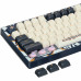 Клавиатура Dark Project x AKKO 5075S Blue
